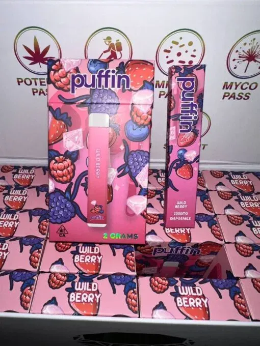 Puffin liquid diamonds disposable 2 grams