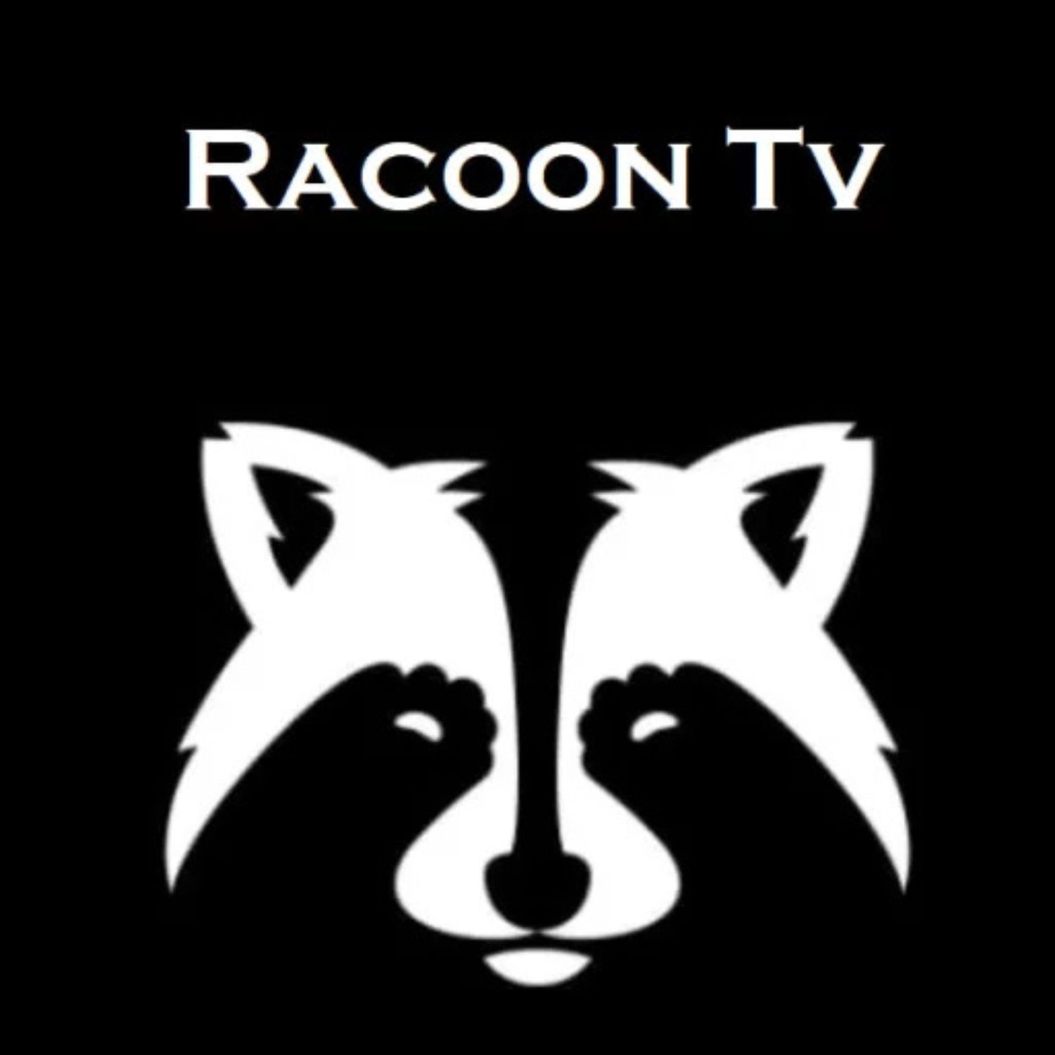 Abonnement Serveur Raccoon