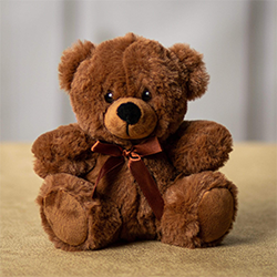 Teddy bear