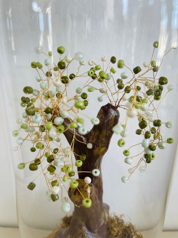 Bonsai Under Glass