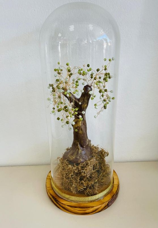 Bonsai Under Glass