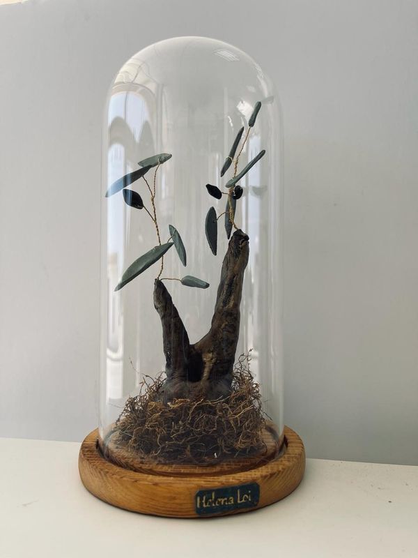 Roots of Eternity