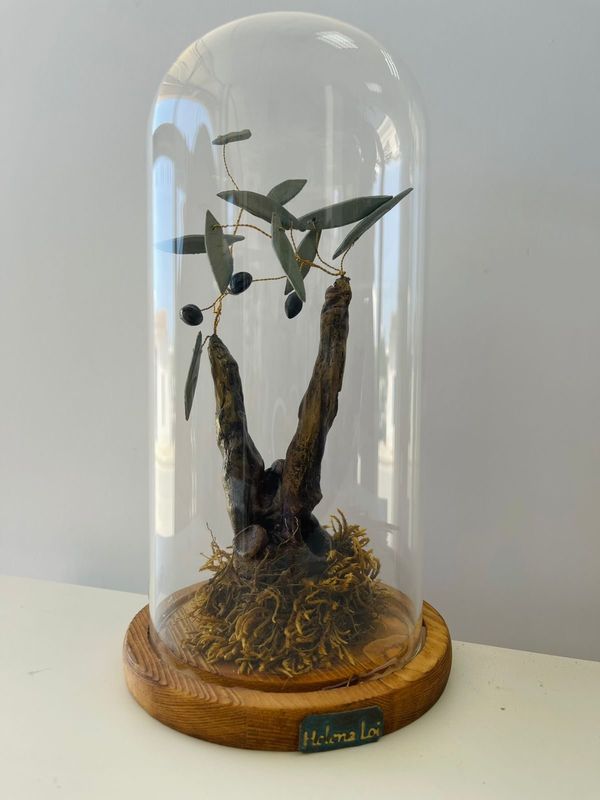 Eternity Olive Tree