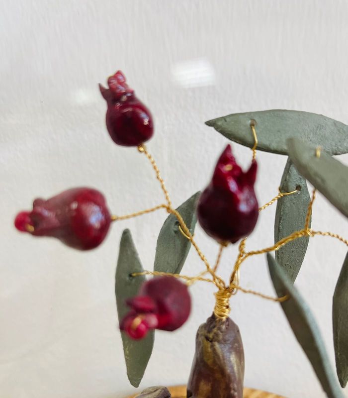Pomegranate Grace