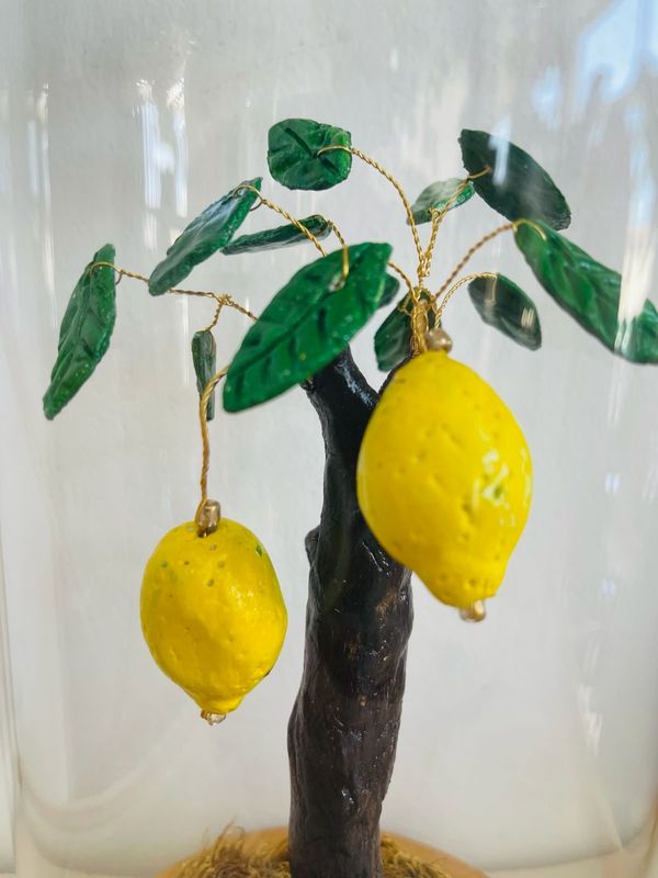Sunny Citrus