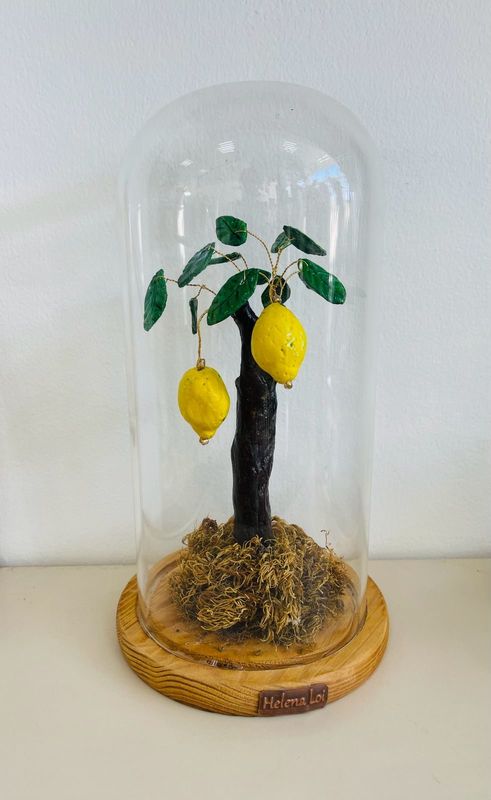 Sunny Citrus
