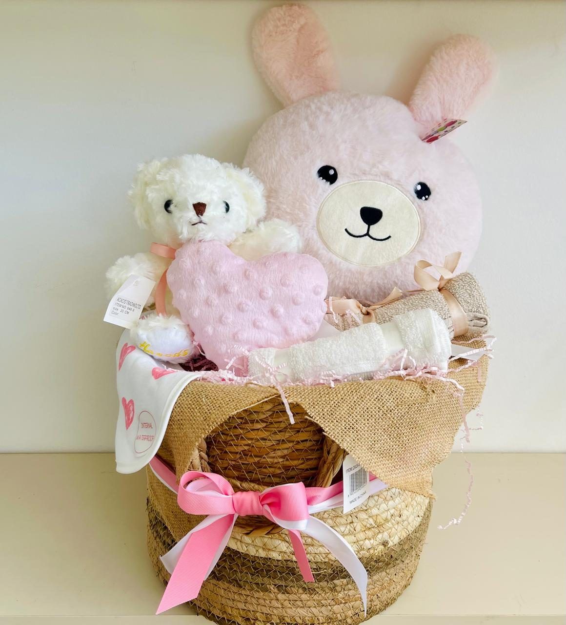 Welcome Little Princess