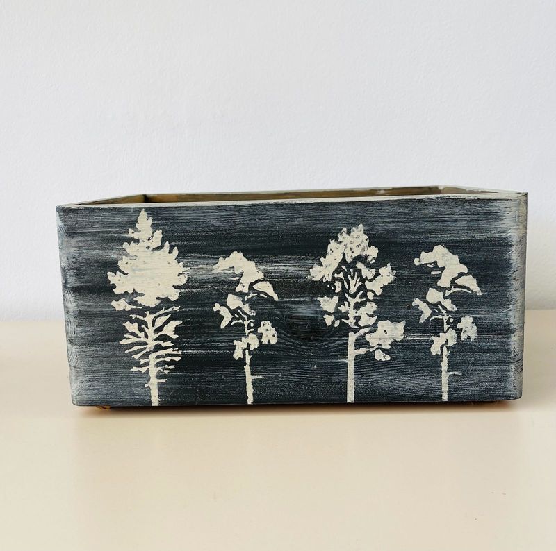 Magic Forest Box