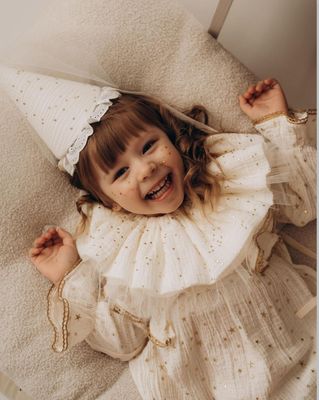 The Little Fairy&#39;s Dream
