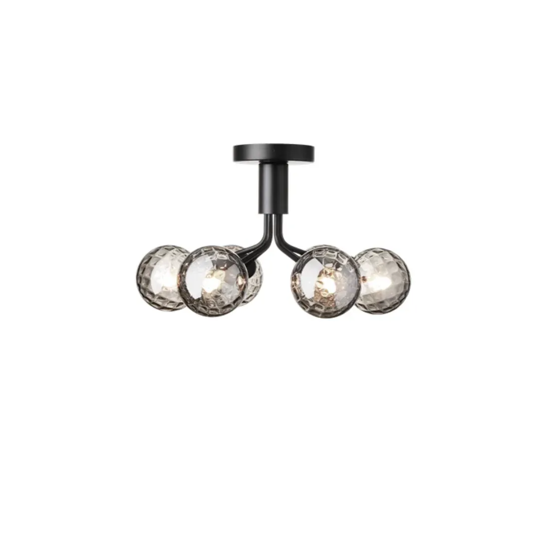 Apiales 6 | Ceiling Chandelier