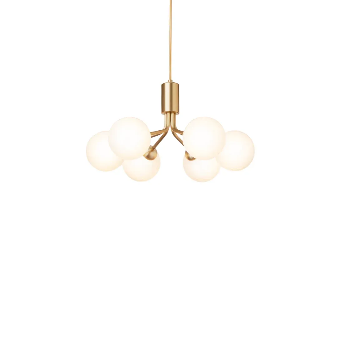 Apiales 6 | Chandelier