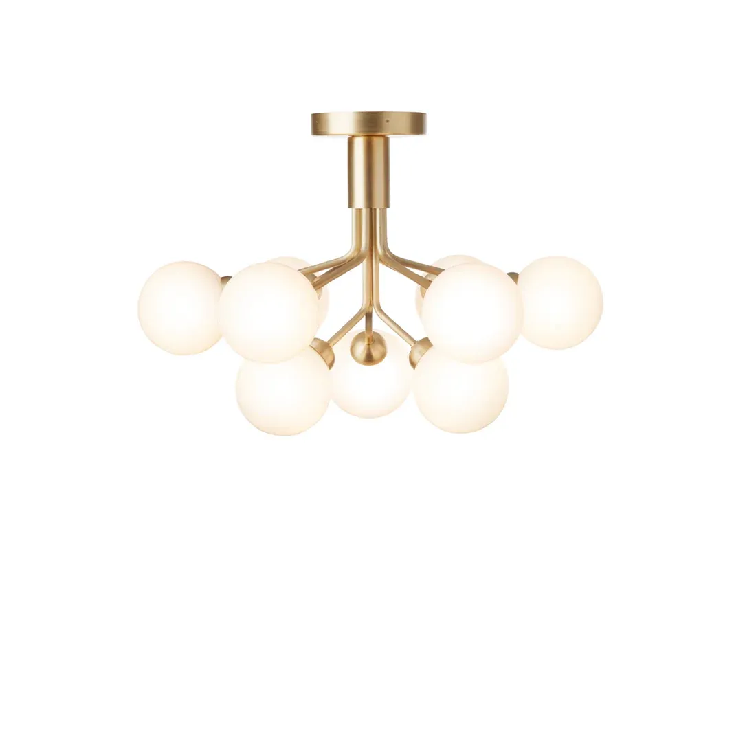 Apiales 9 | Ceiling Chandelier