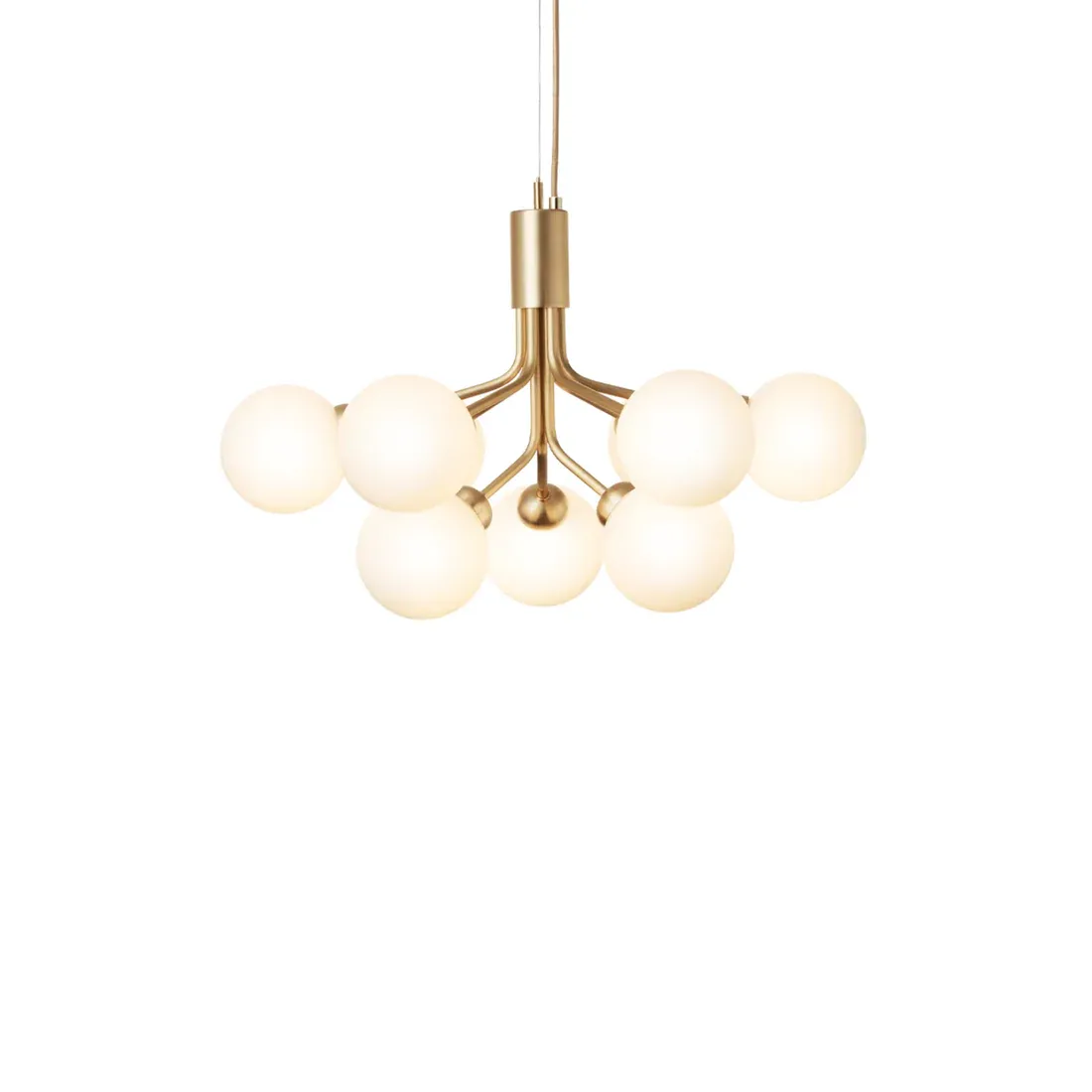 Apiales 9 | Chandelier