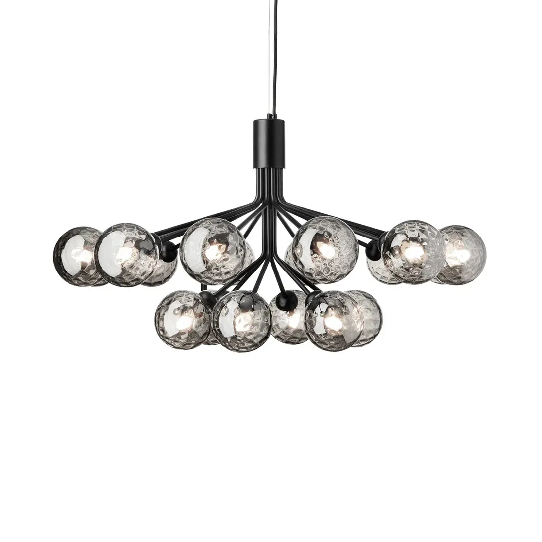 Apiales 18 | Chandelier