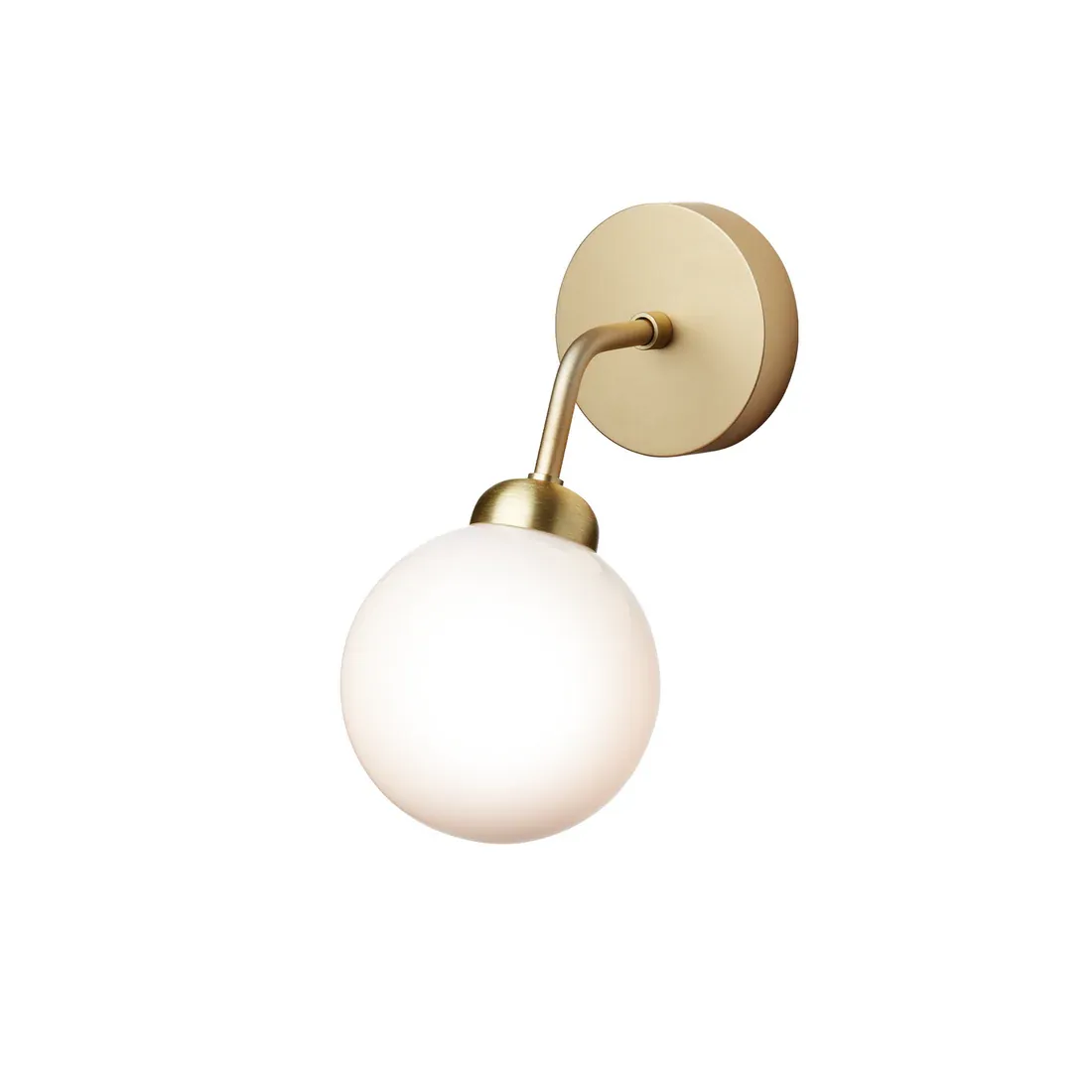 Apiales | Wall Lamp