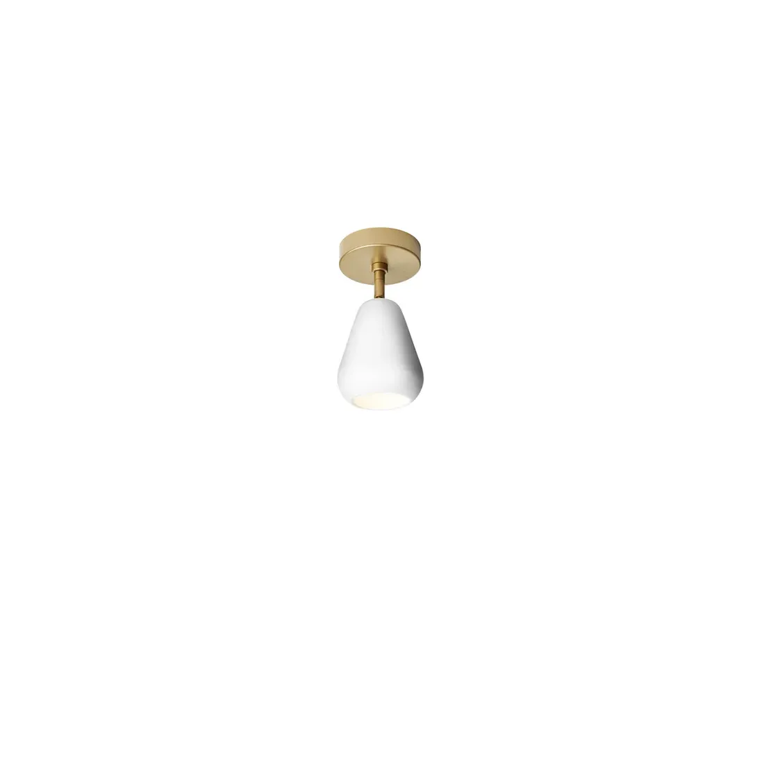 Anoli | Wall / Ceiling Light