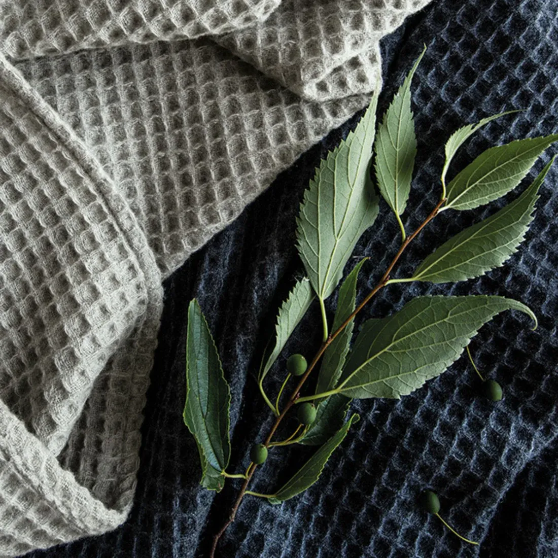 Nidodape | Blanket