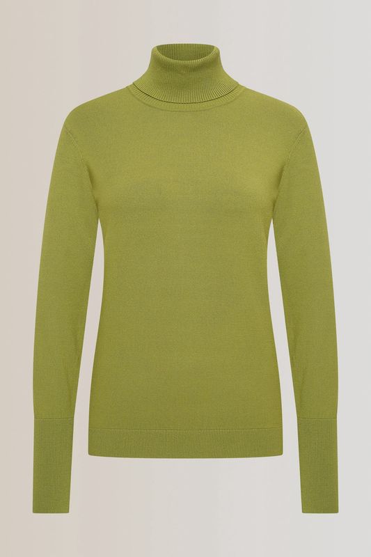 Expresso Pullover basic turtleneck groen