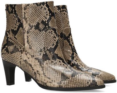 MEXX Vera Tate snake