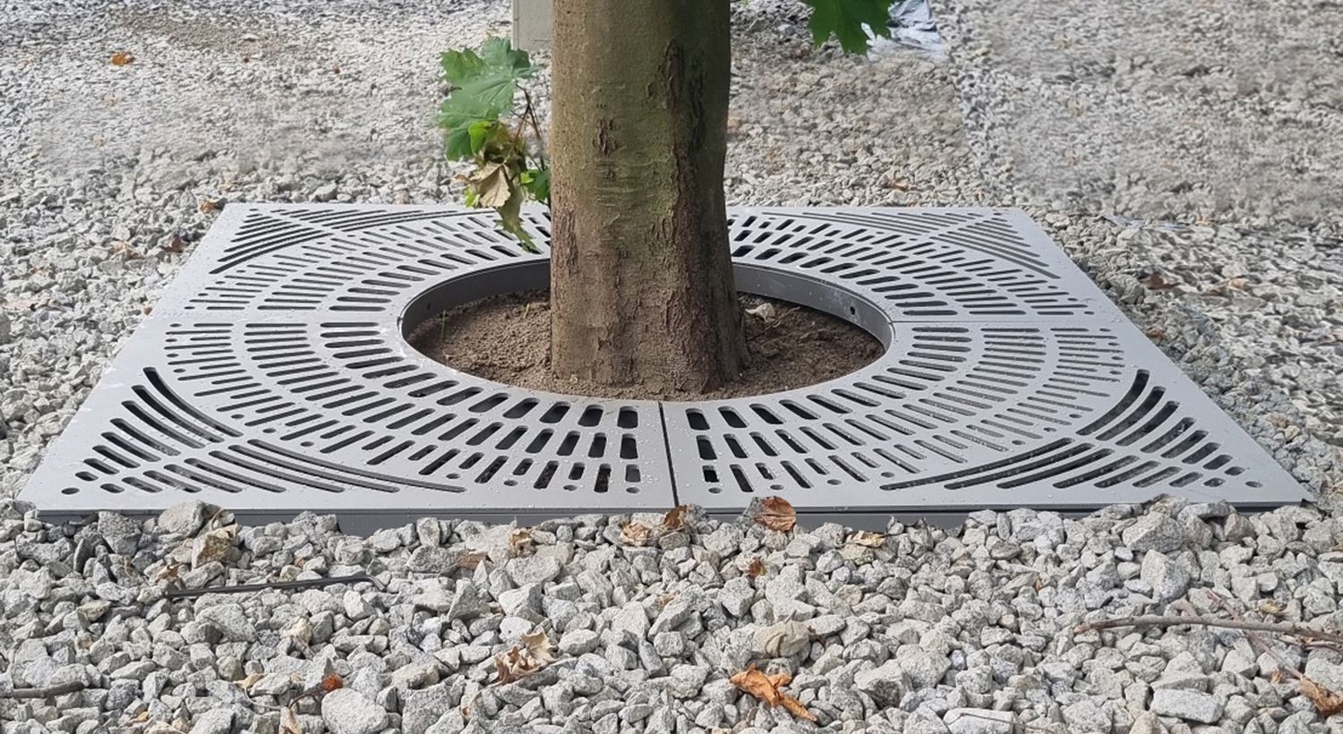 Osłona na drzewa Wrocławska typ OD/KA-B03