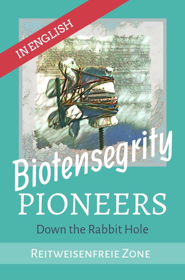 Biotensegrity Pioneers English March 2025
