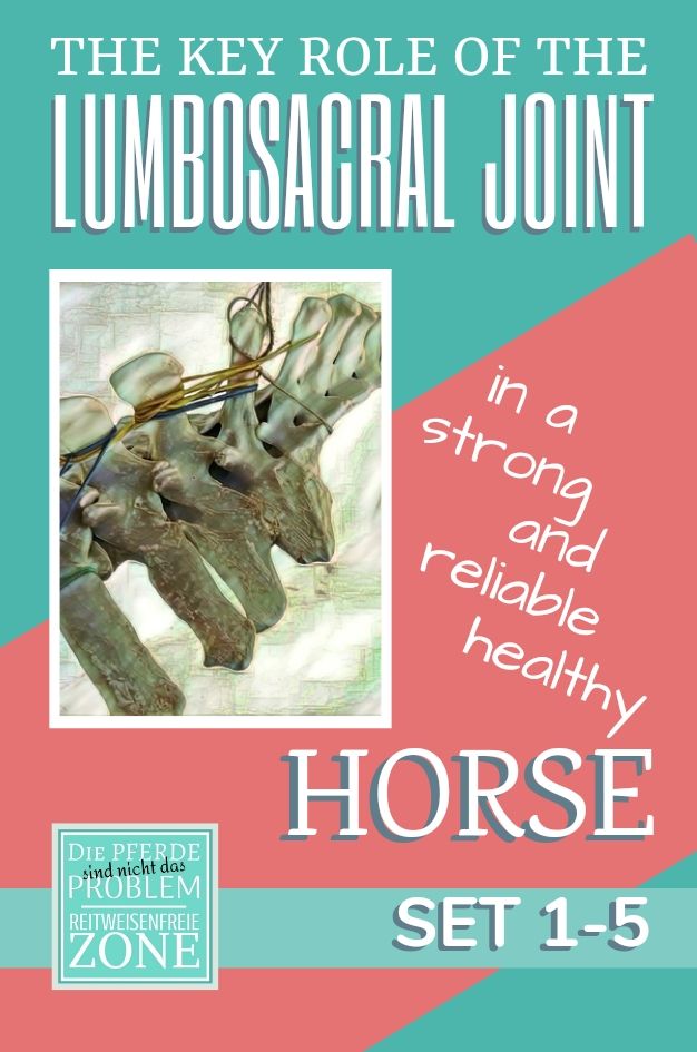 The Lumbosacral Joint - Video Set 1