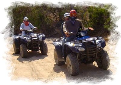 Activities