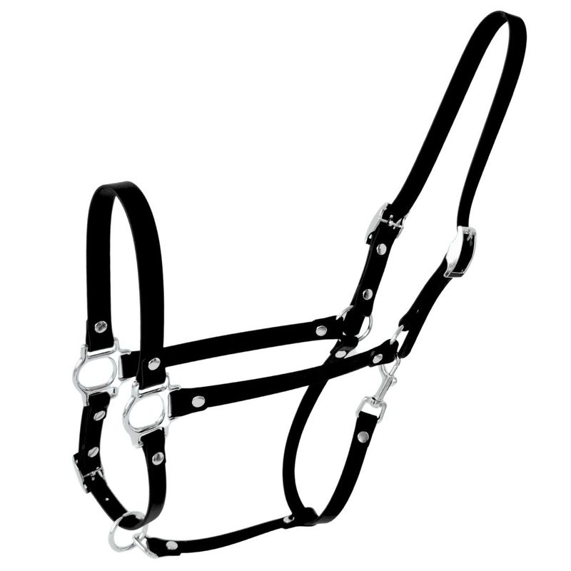 ZAVVIT - ComfortFit BioThane® Pferdehalfter