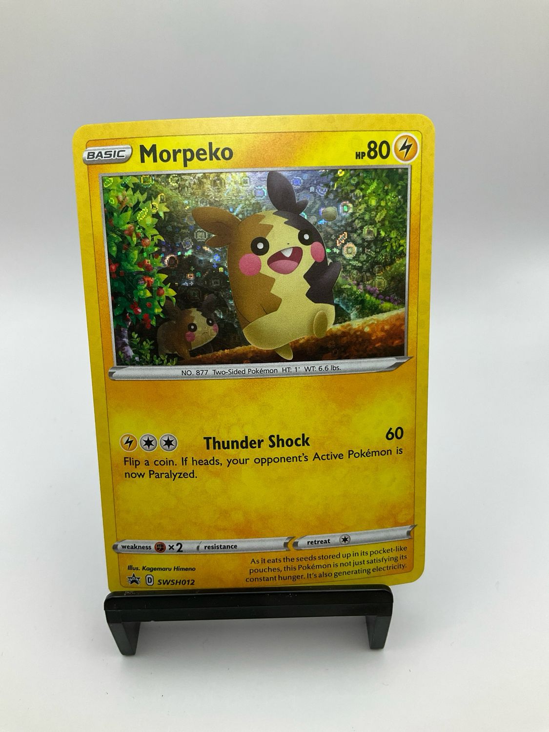 2020 Pokemon Morpeko - SWSH012 - Pokemon Card SWSH Sword Shield Black Star Promo