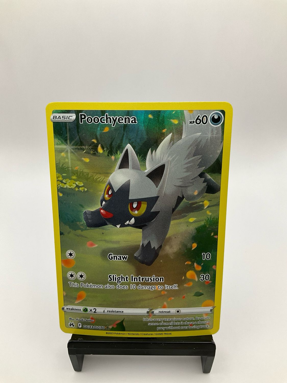 2023 Pokemon Poochyena GG33/GG70 Holo Rare Crown Zenith Galarian Gallery