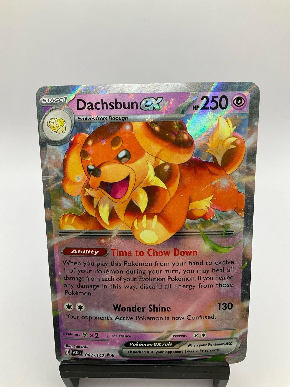 2024 Pokémon Card 2024 Stellar Crown Dachsbun EX 067/142