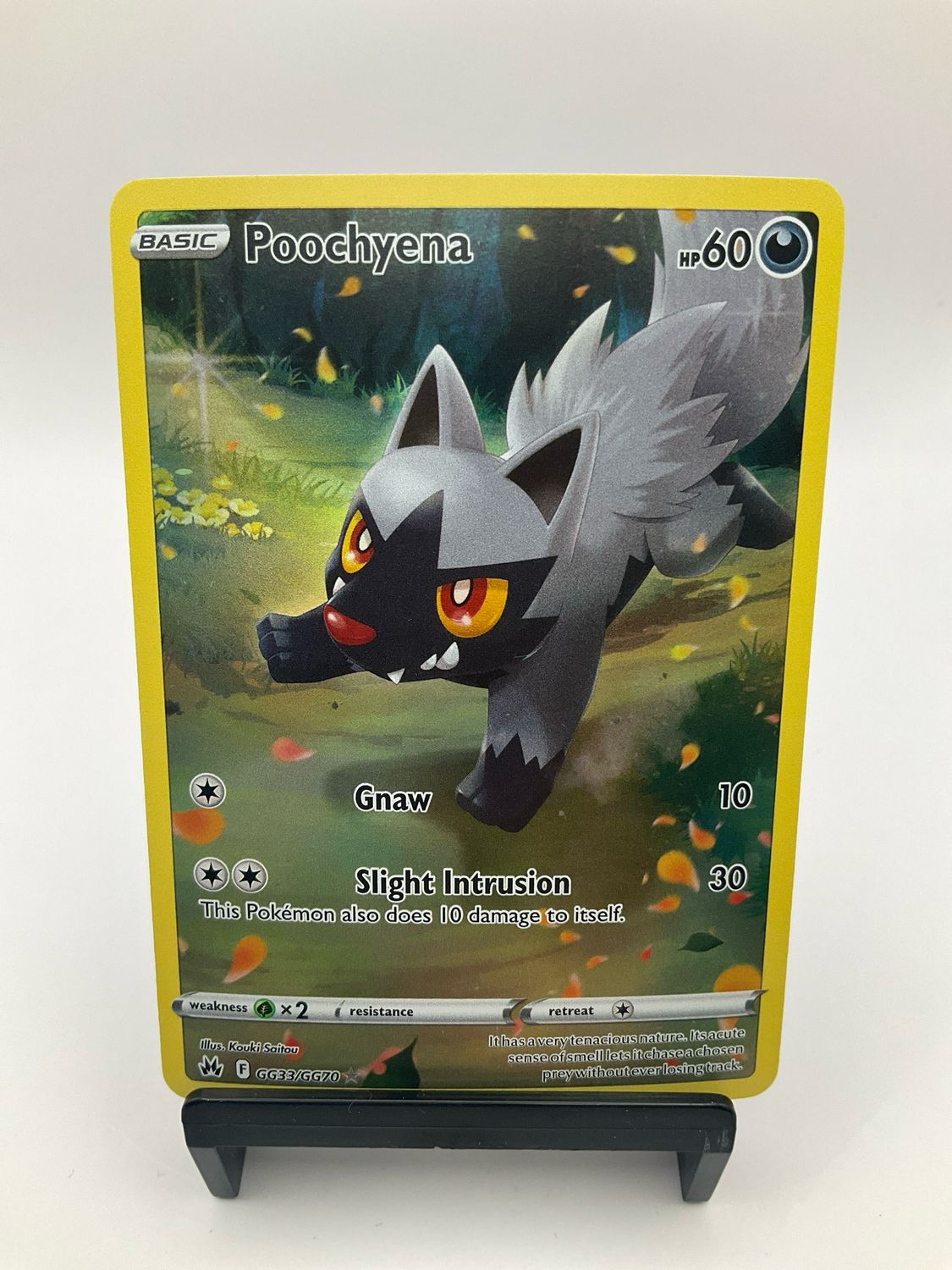 Pokemon TCG SWSH Crown Zenith Poochyena GG33/GG70
