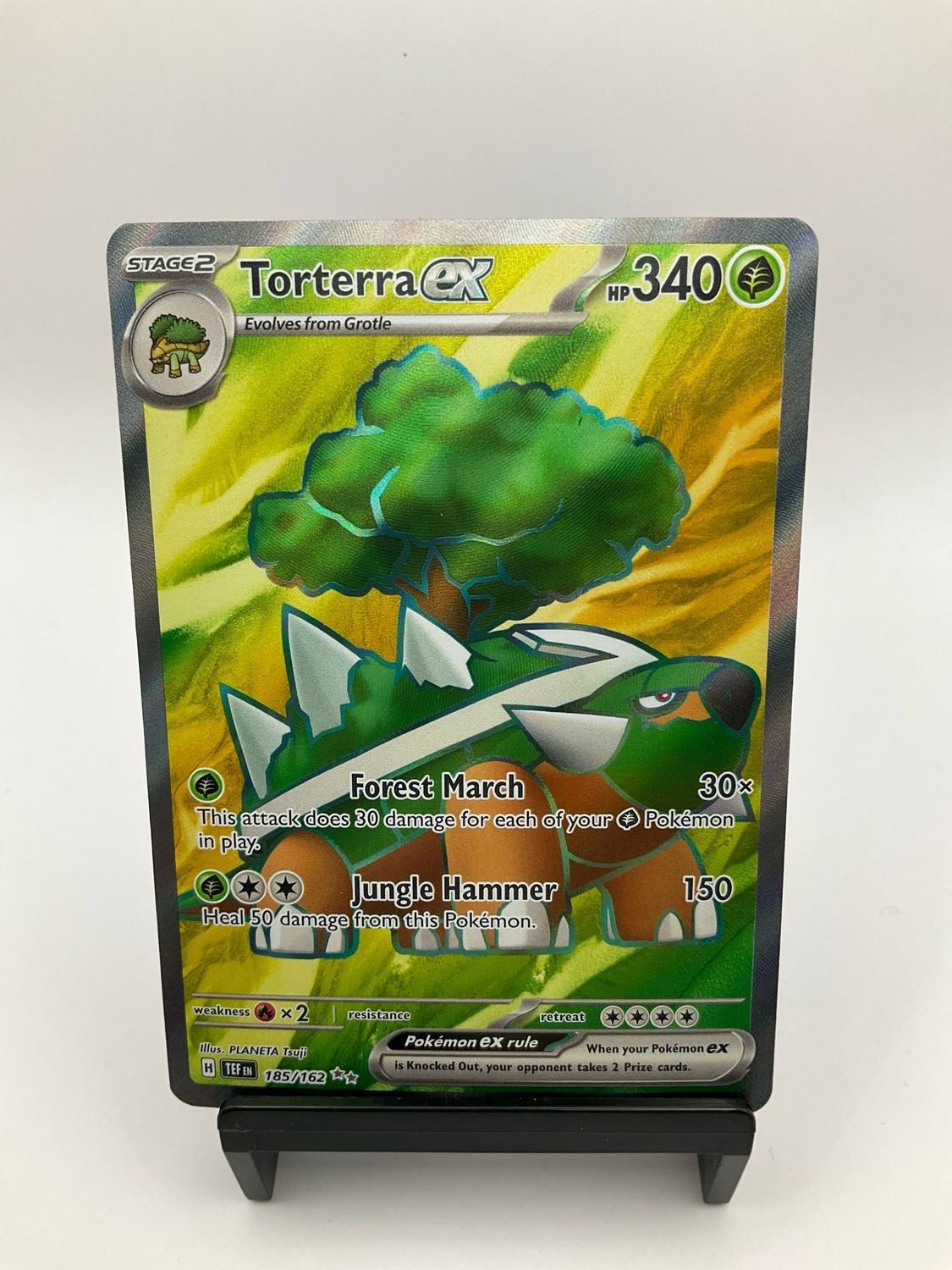 POKEMON TORTERRA EX 185/162