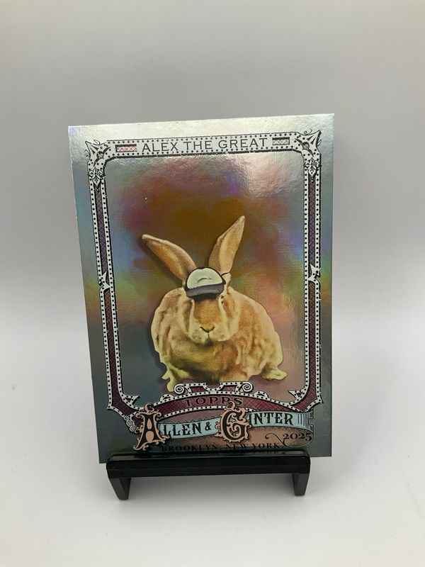 2025 A&amp;G ALEX THE GREAT FOIL 230