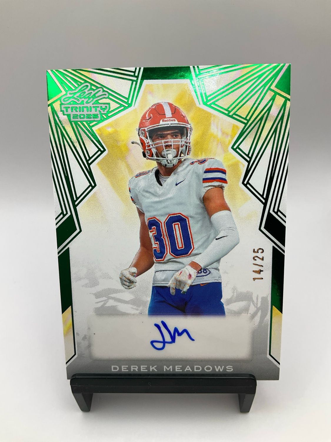 2025 LEAF TRINITY AUTO DEREK MEADOWS /25 BA-DM2