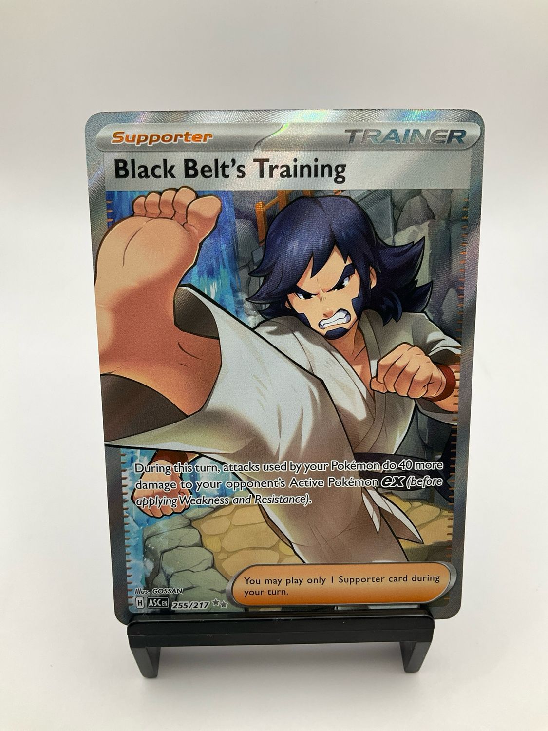 2025 POKEMON BLACK BELT'S TRAINING 255/217