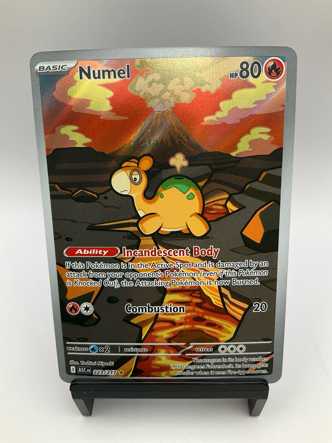 2025 POKEMON NUMEL 223/217
