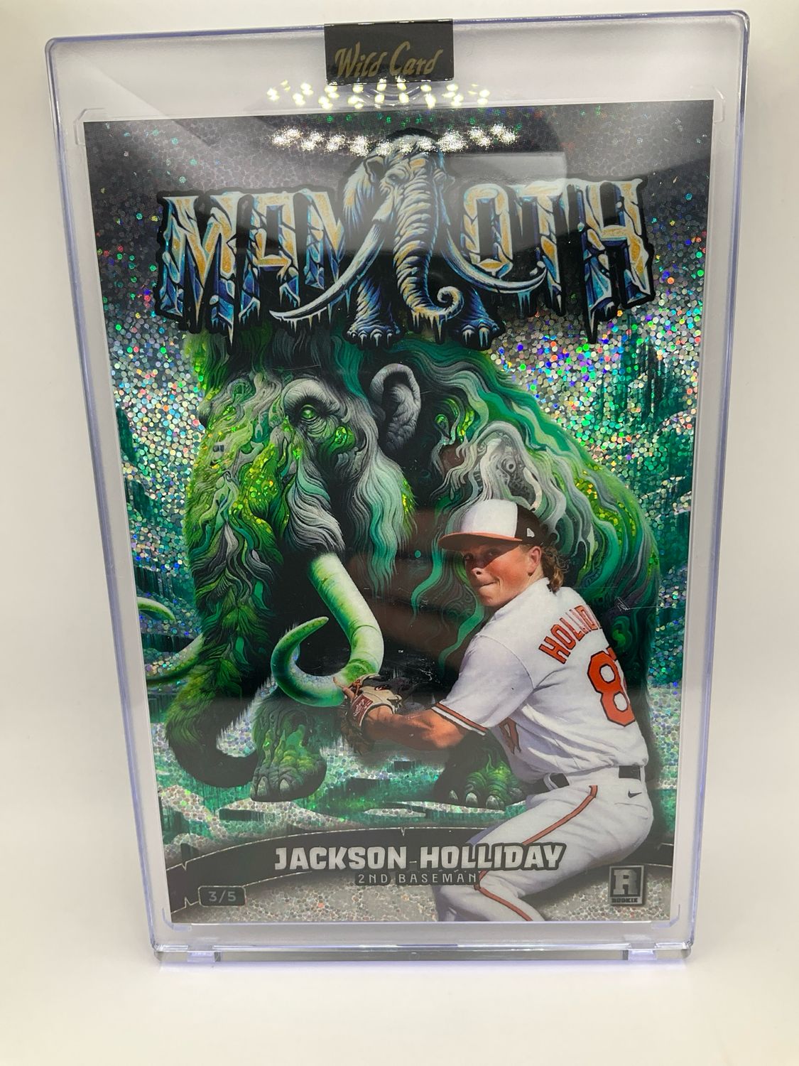 2024 WILDCARD JACKSON HOLIDAY MAMMOTH 3/5