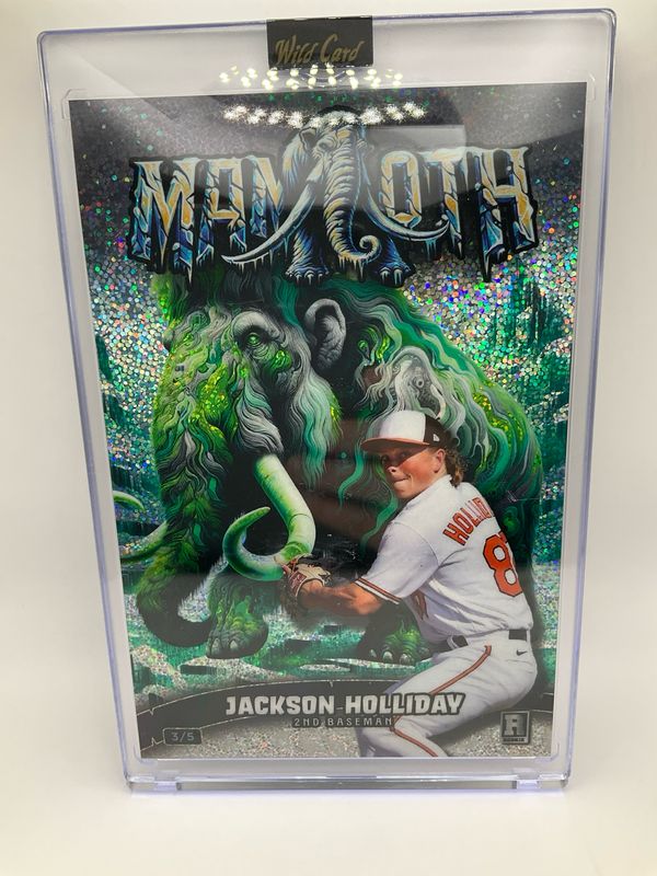 2024 WILDCARD JACKSON HOLIDAY MAMMOTH 3/5
