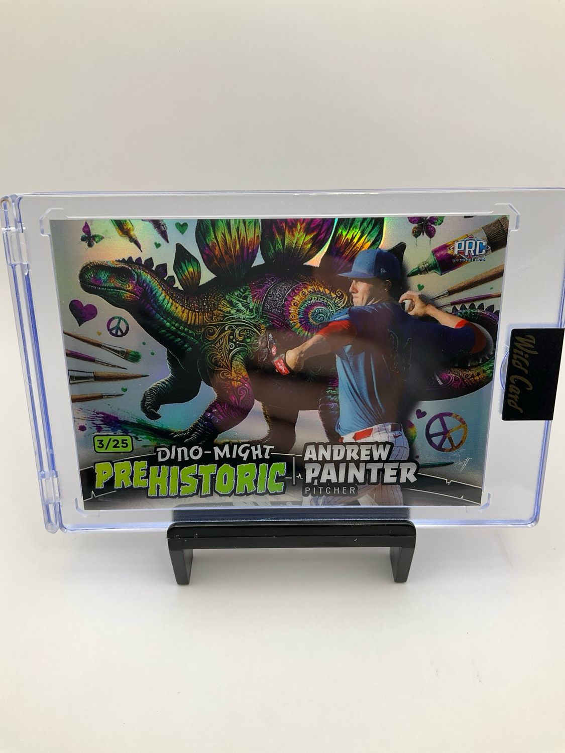 2024 WILD CARD PRE HISTORIC ANDREW PAINTER 3/25