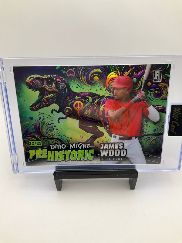 2024 WILD CARD PRE HISTORIC JAMES WOOD 20/25