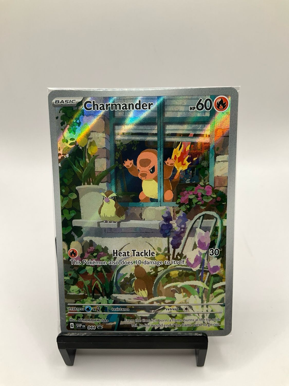 2023 POKEMON CHARMANDER SVP 44 SEALED