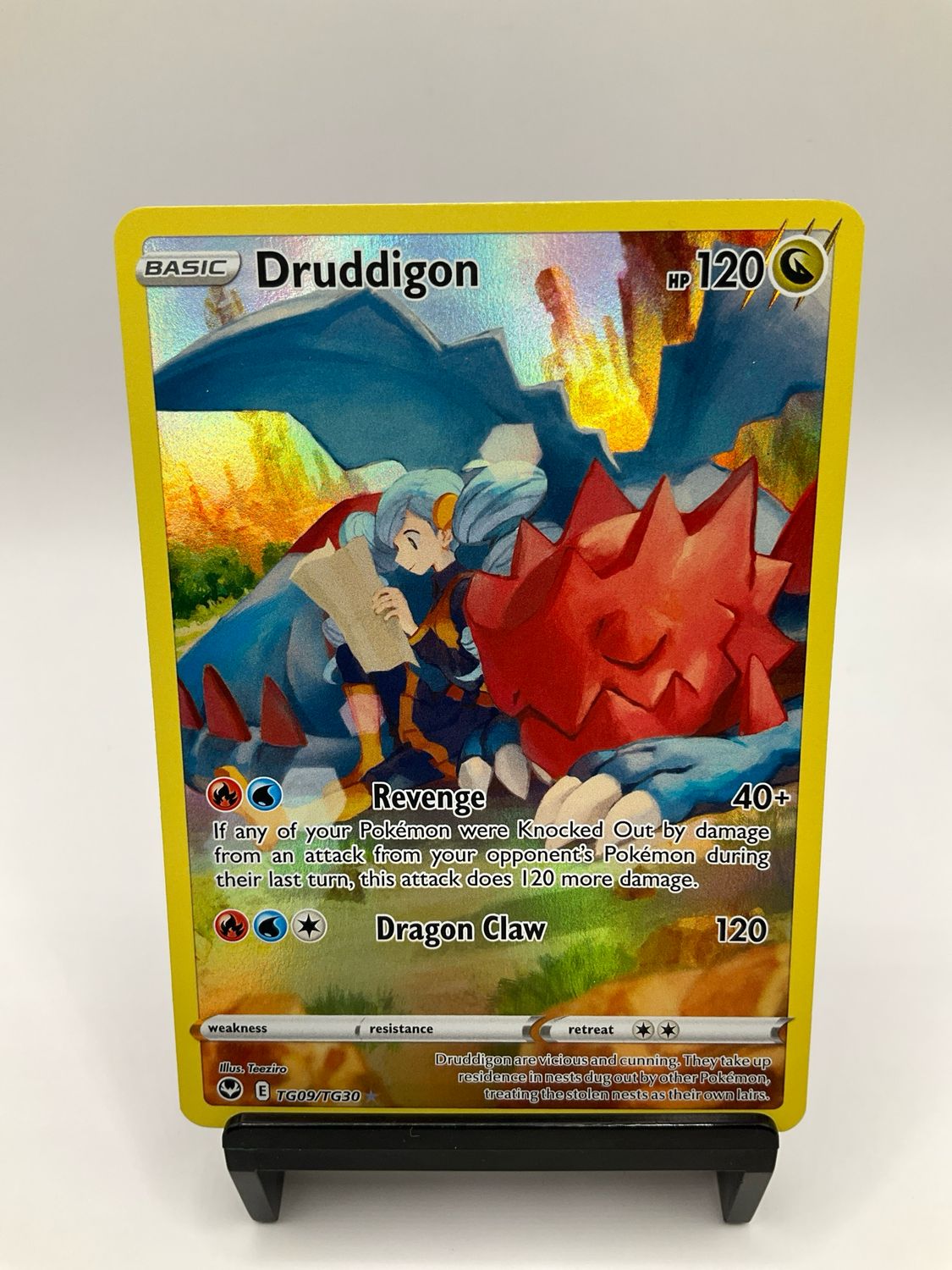 2022 POKEMON DRUDDIGON TG09/TG30
