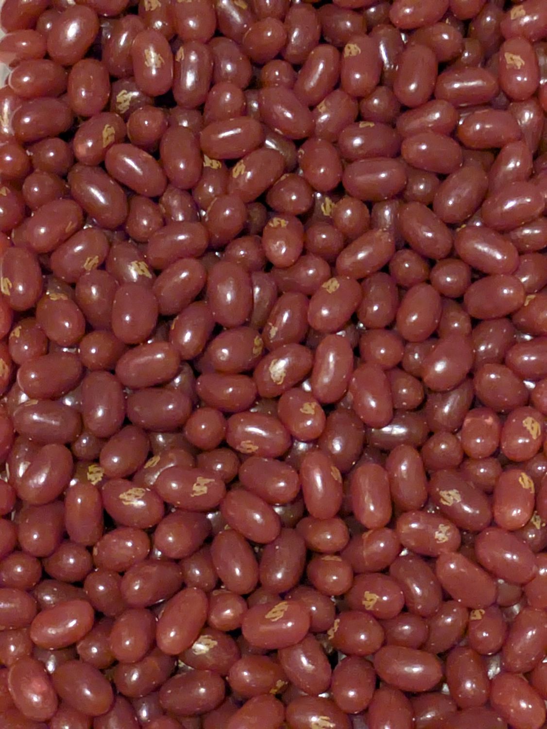 Jelly belly pouding au chocolat