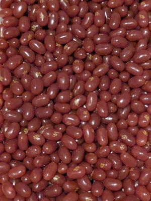 Jelly belly pouding au chocolat