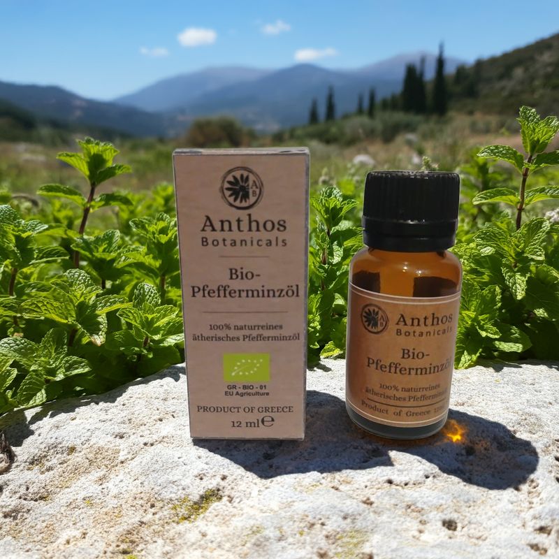 Pfefferminzoel BIO 12ml