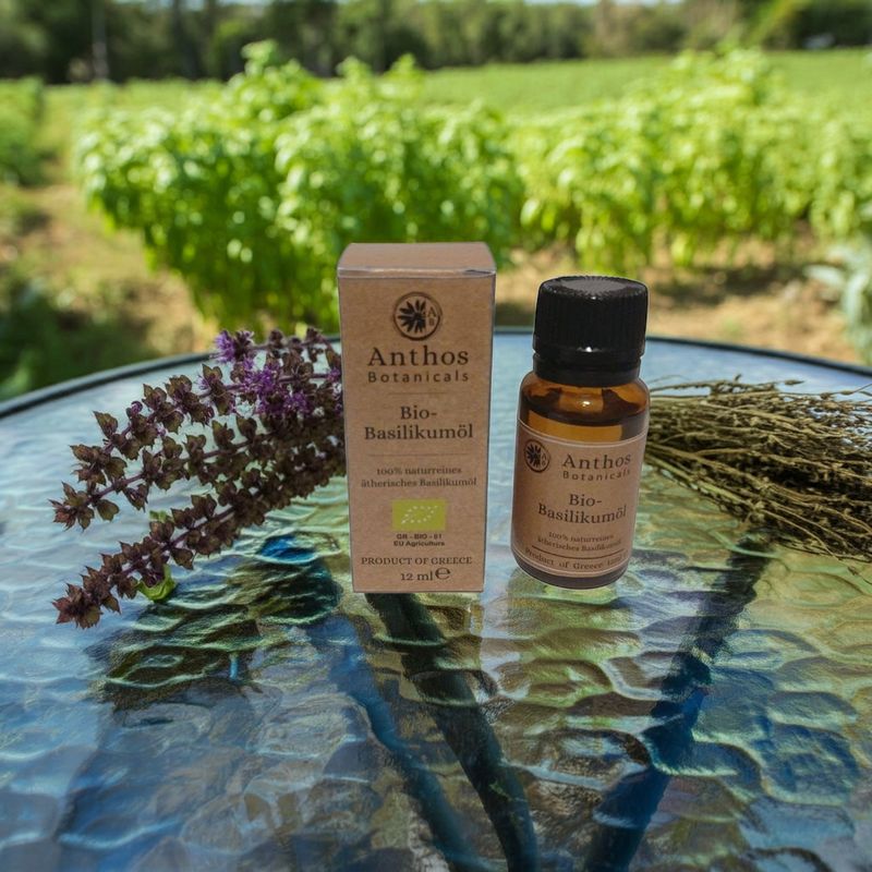 Basilikumoel BIO 12ml