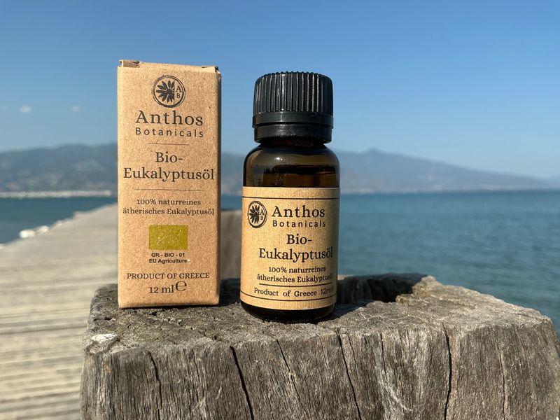 Eukalyptusoel BIO 12ml
