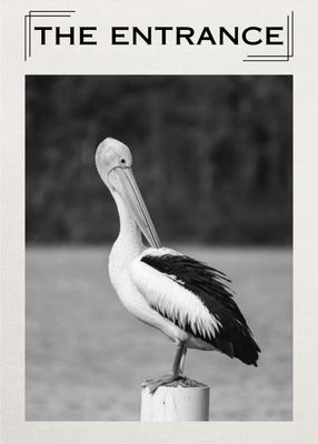 Pelican 1 Tea Towel