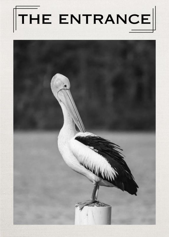 Pelican 1 Tea Towel